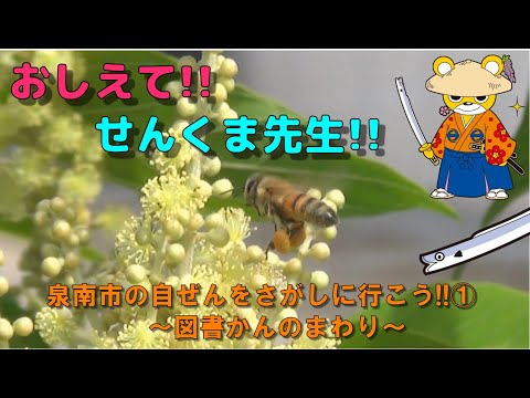 Vamos encontrar a comida original da cidade de Sennan! #1 ~Pela biblioteca~