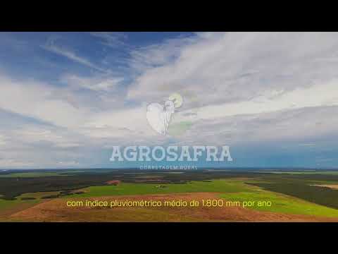 🌾 FAZENDA DUPLA APTIDÃO EM TUPIRAMA - TO | 755 HECTARES 100% PLANOS