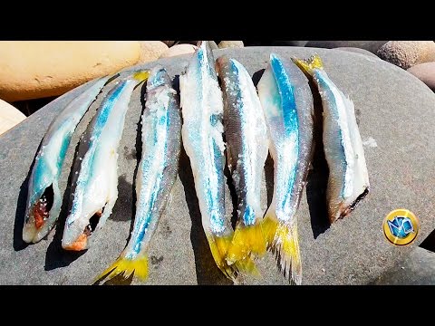 Nagcha-charge upang mawalan ng timbang Diyeta sa mawala ang timbang