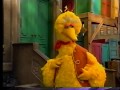Sesame Street Scenes From 3338