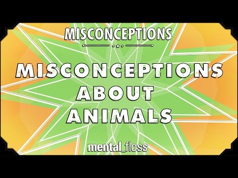 Misconceptions about Animals - mental_floss on YouTube (Ep. 55)