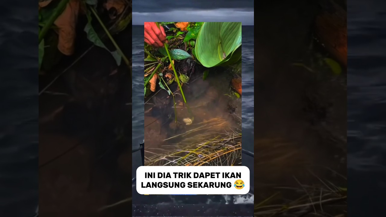 TRIK DAPET IKAN SEKARUNG