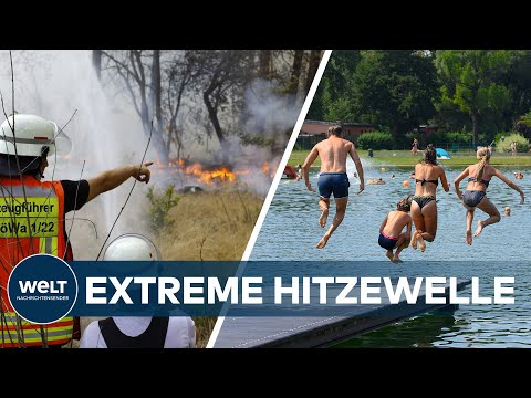 HITZE &amp; TROCKENHEIT in Deutschland: Waldbrandgefahr hoch - Pegelstände tief