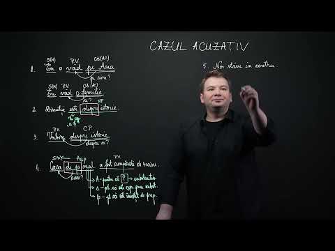 Funcțiile sintactice ale substantivului. Cazul acuzativ