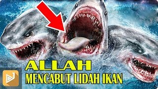 SEJARAH AWAL  "ALLAH " MENCABUT LIDAH IKAN ( Menurut Islam )
