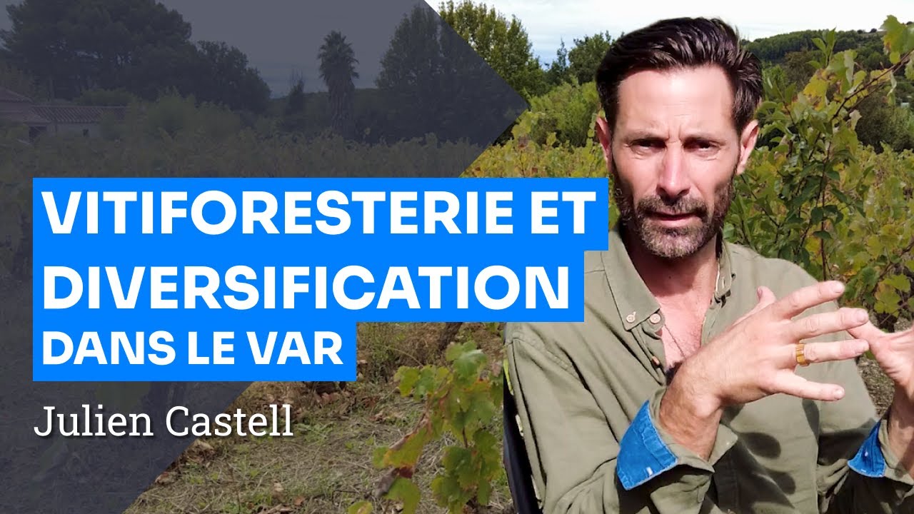 Un domaine viticole pas comme les autres : arbres, maraîchage et élevage dans le Var, Julien Castell