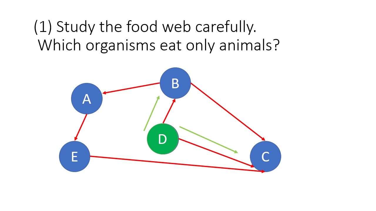 Food Web Question