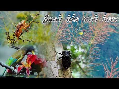 suab kho siab heev. nim kho siab tag npaum li lawv 😪💔 mloog thaum ib leeg