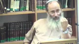 15245-4 למה לחכות 7 ימים מיום הולדת הבהמה עד להקרבתה?