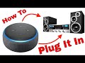 Connect amazon echo to home stereo