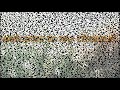 Dil Diya Hai Jaan Bhi Denge Aye Watan Tere Liye WhatsApp Status