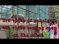 Pahalgam || mini Zoo Pahalgam || 3rd video ||