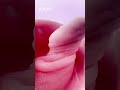 DNKa Гель для ногтей Аcryl Gel 0003 Paradise, 30 мл