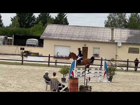 5 yo Adagio de Talma / Landor S ** Sold