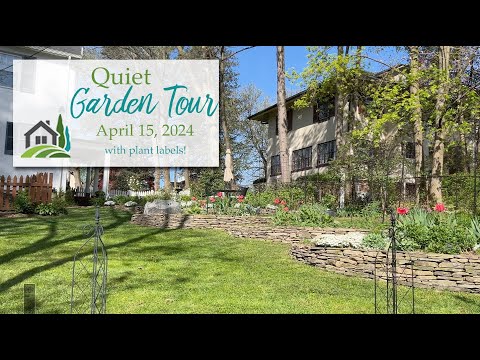 Quiet Garden Tour - Apr 15, 2024 - With Plant Labels 🌸🌳🏡🌺