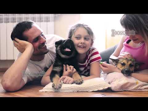 Tour Your Puppy's Home