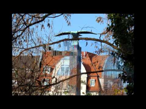 Bläck Fööss - Unger'm Adler