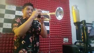 Download lagu Nothing's Gonna Change - My Love For You - Carlos Reyes Ch. (Cover Trumpet) mp3 Download lagu Nothing's Gonna Change - My Love For You - Carlos Reyes Ch. (Cover Trumpet) mp3