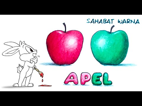 Mewarnai Buah  Apel Gambar  Apel GAMBAR  MEWARNAI HD