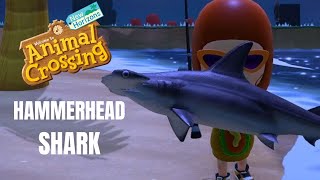 Animal Crossing: New Horizons: How To Catch A HAMMERHEAD SHARK (Bells, Time, Location)