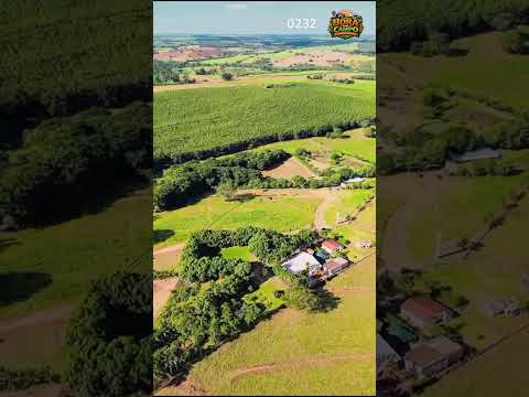 Sítio à Venda em Nipoã - São Paulo #shorts #agro #sitio
