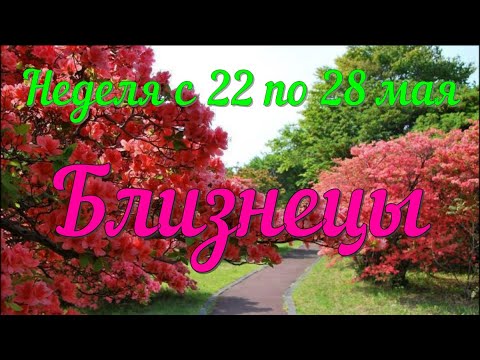 БЛИЗНЕЦЫ ♊️Неделя с 22 по 28 мая.