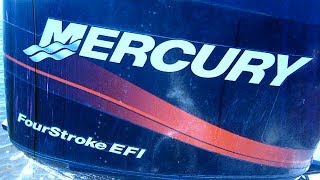 Mercury me f 60 elpt efi