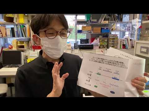 教育学科 【立教・理・生命】関根靖彦研究室