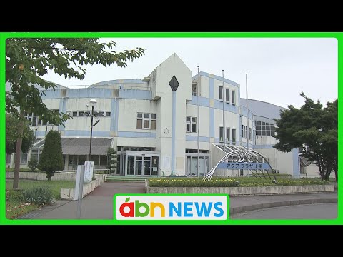 化学薬品を使わずにインフレータブルプールを清潔に保つにはどうすればよいでしょうか?  庭園