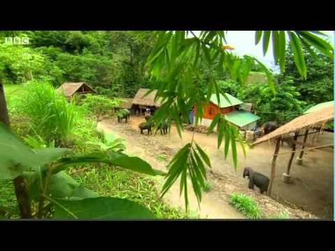 The Hairy Bikers Asian Adventure S1 E3 Thailand