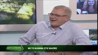 Με το βλέμμα στις κάλπες Νίκος Παπαδόπουλος   Θεσσαλών Γη 24 6 2019