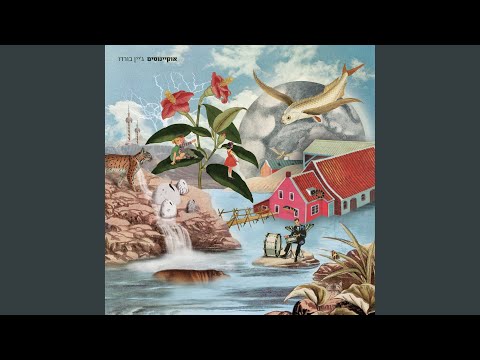 Video thumbnail for Zohar Halayla - זוהר הלילה
