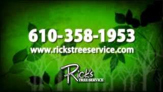 preview picture of video 'Tree Service in Bensalem 888-918-6745  Rick's Tree Service'