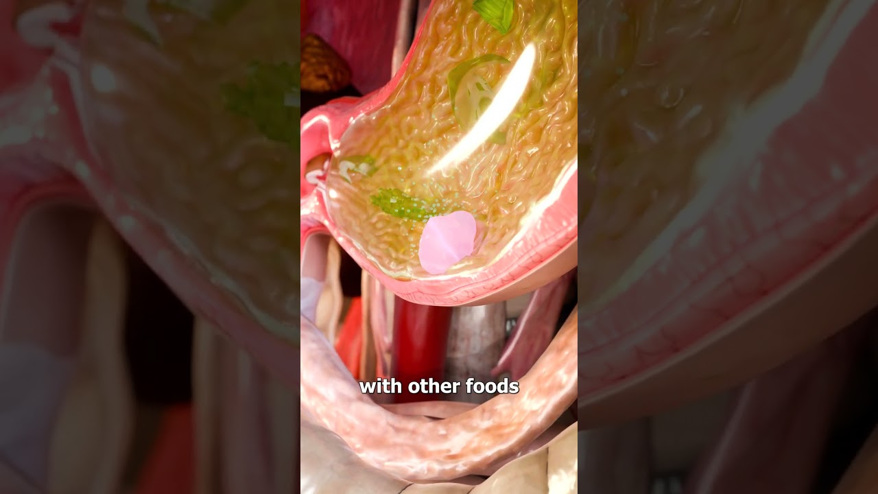 Does Gum Stay In Your Stomach For 7 Years? 😨