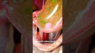 Does Gum Stay In Your Stomach For 7 Years 😨