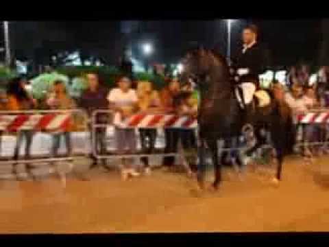 Giuseppe Ferraro Galà del cavallo e Tataratà a Canicattì