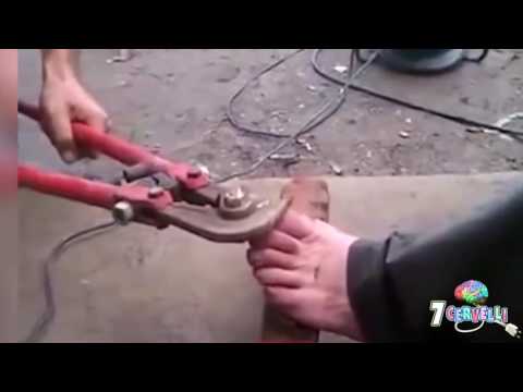 BUCCIOTTANDO NTO L WEB 5 | 7 CERVELLI