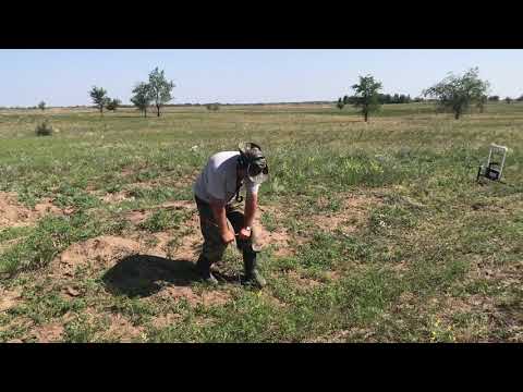 Looking for missing soldiers in Stalingrad