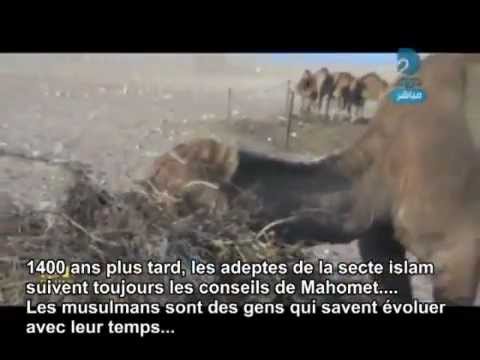 comment soigner au moyen age