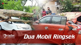 Pohon Tumbang, Atap Rumah Beterbangan