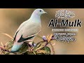 Very calming recitation of Surah AL-Mulk - peaceful Quran Tilawat - Zain Official