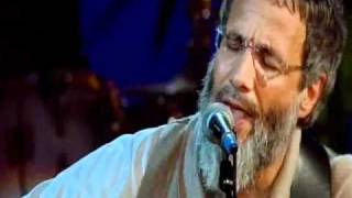 Father And Son / 2007 - Cat Stevens (Yusuf Islam)