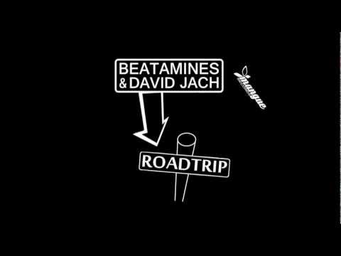 Beatamines & David Jach - Roadtrip (Einmusik Remix)