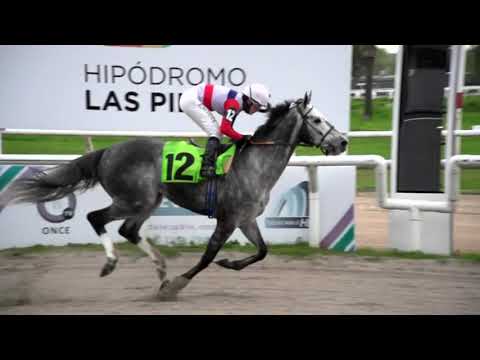 210924 c09 - SALTANDO CHARCOS (ARG)  - HIPODROMO LAS PIEDRAS - PREFERENCIAL "DÍA DE LA PRIMAVERA"