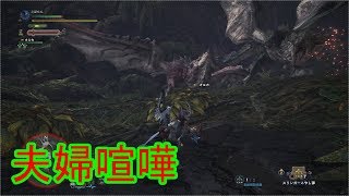 火竜夫妻の夫婦喧嘩に巻き込まれた【MHW#11】