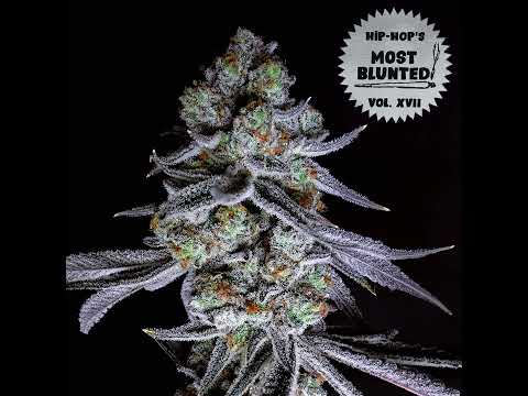 12 Meen Green ft  Marc Da Murderah & Ganja K   THC