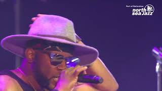 Let&#39;s Go Crazy with the the NPG and Kip Blackshire on lead vocals at NSJF 2017