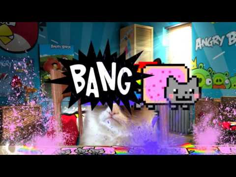 Grumpy Cat Vs Nyan Cat