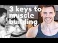 3 Keys to Building Muscle. How to build muscle naturally. Vicsnatural Victor Costa