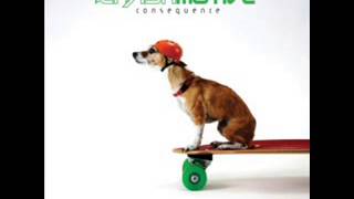 Amy - The Crash Motive